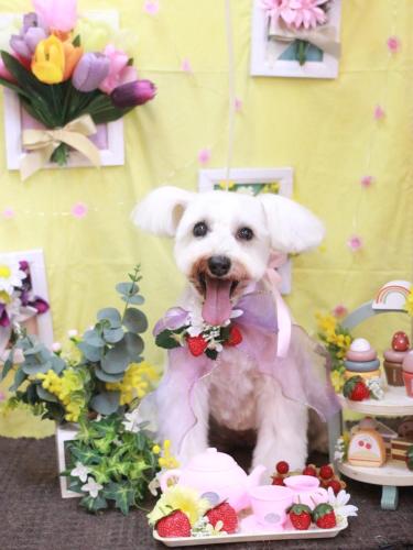 20230314天馬利ちゃん